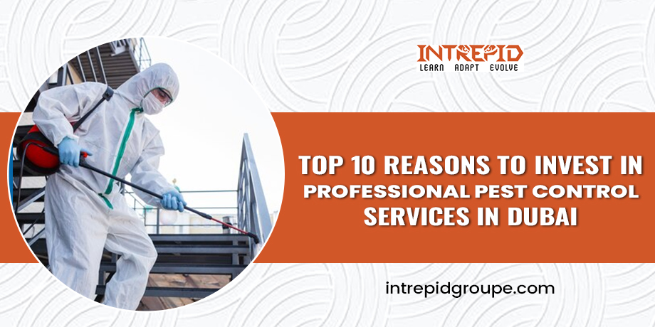 Top 10 Reasons to Invest in Professional Pest Control Services in Dubai