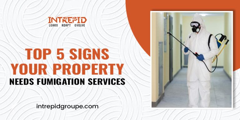 Top 5 Signs Your Property Needs Fumigation Services