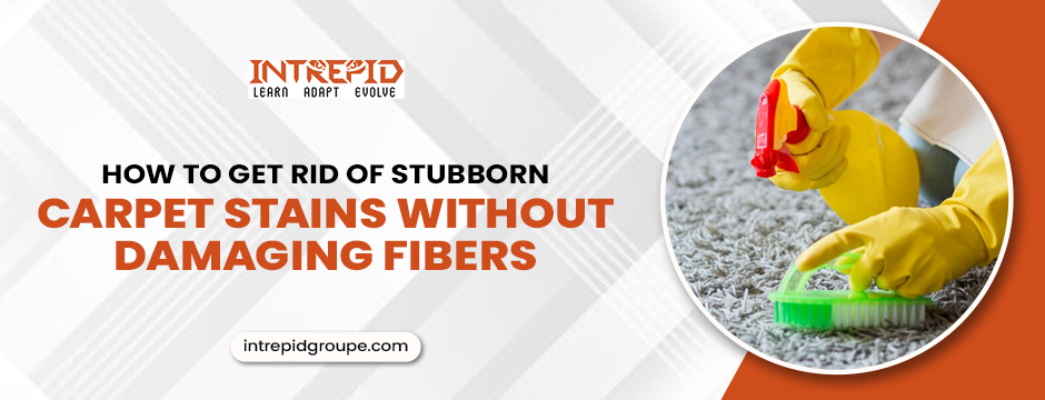 How to Get Rid of Stubborn Carpet Stains Without Damaging Fibers