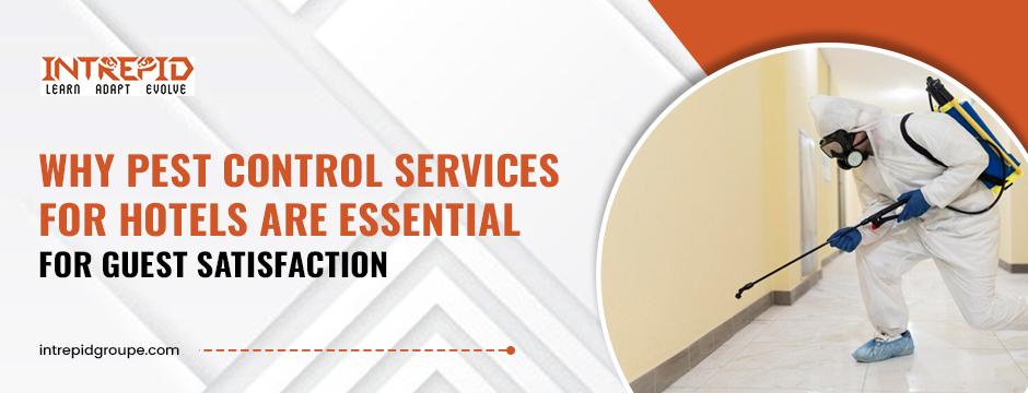 Why Pest Control Services for Hotels Are Essential for Guest Satisfaction