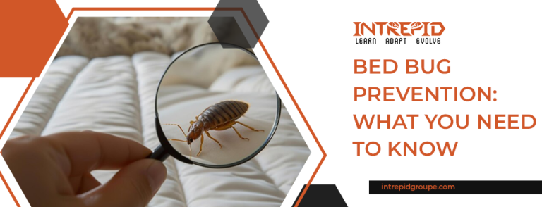 Bed Bug Prevention: What You Need to Know