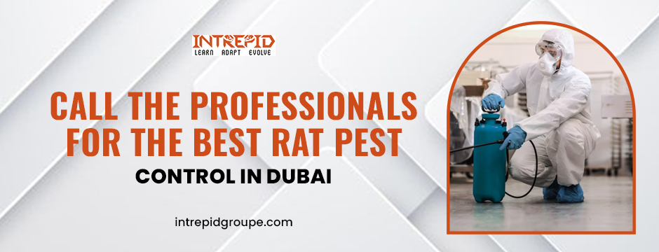 Professionals for The Best Rat Pest Control in Dubai