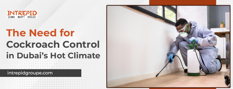 The Need for Cockroach Control in Dubai’s Hot Climate