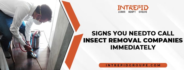 Insect Removal Companies
