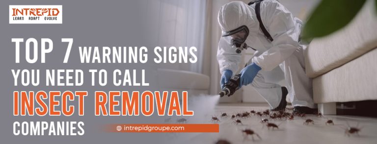 expert insect removal companies to protect your home and health.