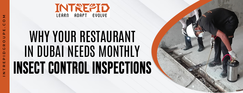 Restaurant in Dubai Needs Monthly Insect Control Inspections