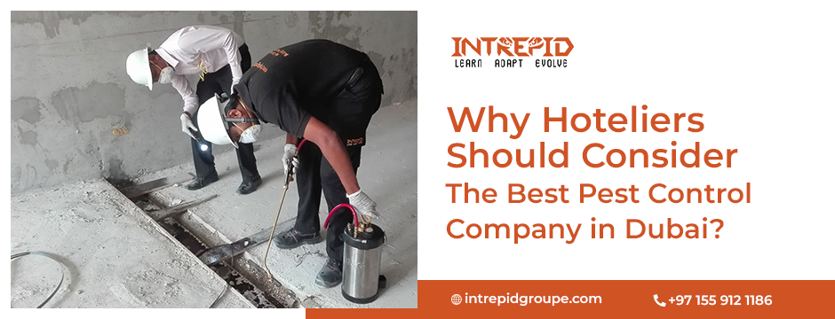 Why Hoteliers Should Consider The Best Pest Control Company in Dubai?