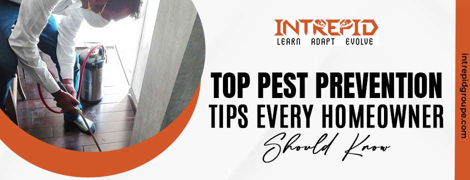 Top Pest Prevention Tips Every Homeowner Should Know