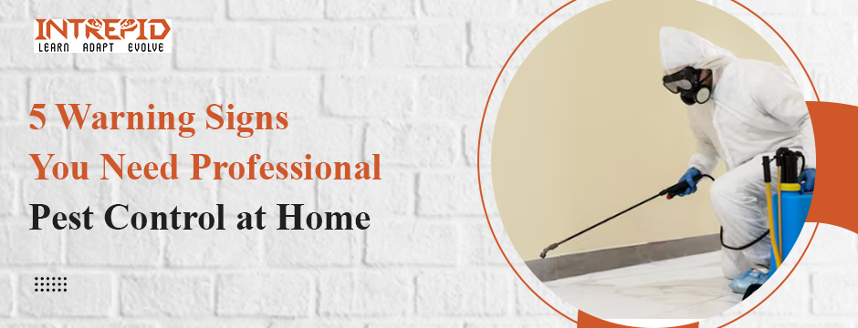 5 Warning Signs You Need Professional Pest Control at Home