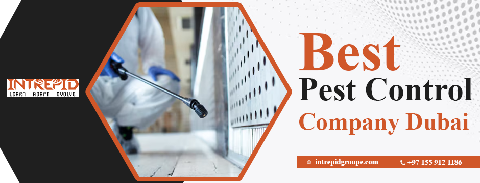 best pest control company Dubai