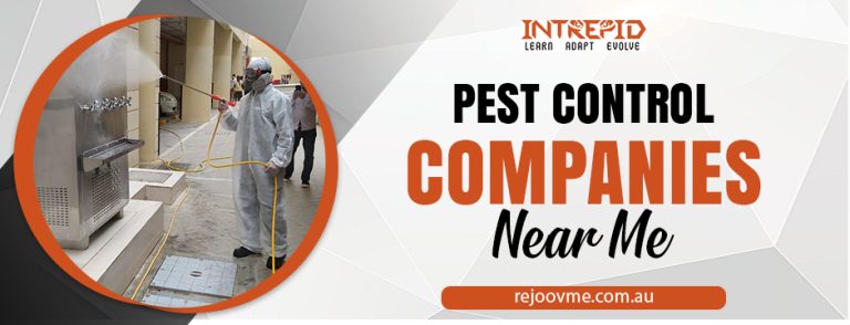 pest control companies near me