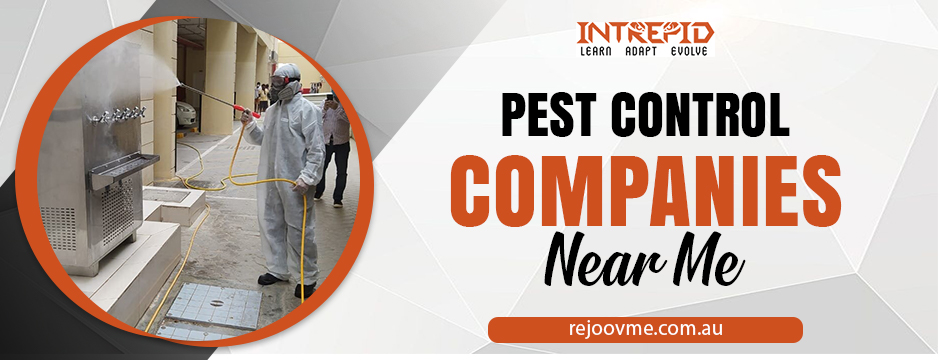 pest control companies near me