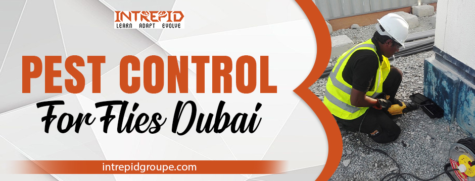 pest control for flies Dubai