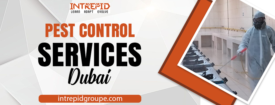 pest control services Dubai