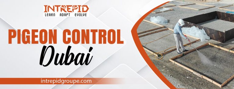 pigeon control dubai