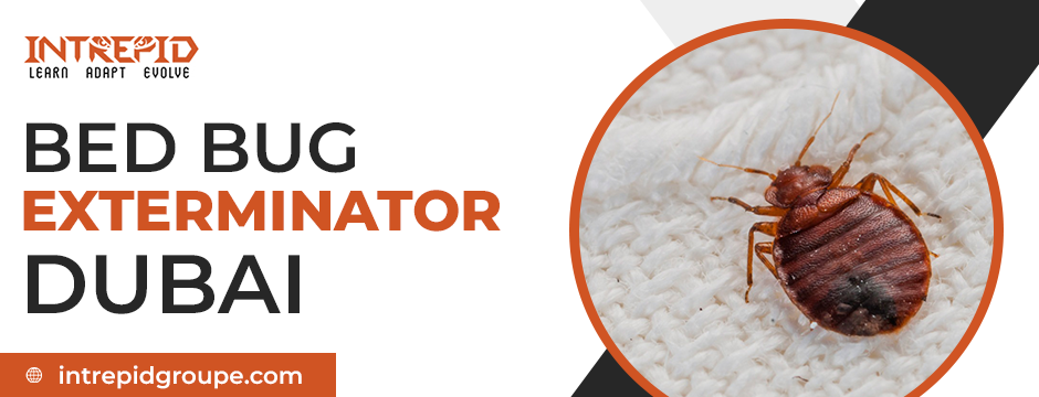 bed bug exterminator dubai