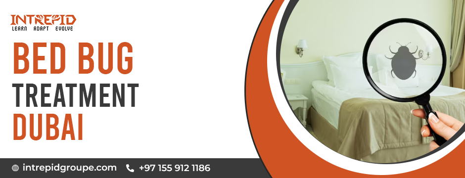bed bug treatment dubai