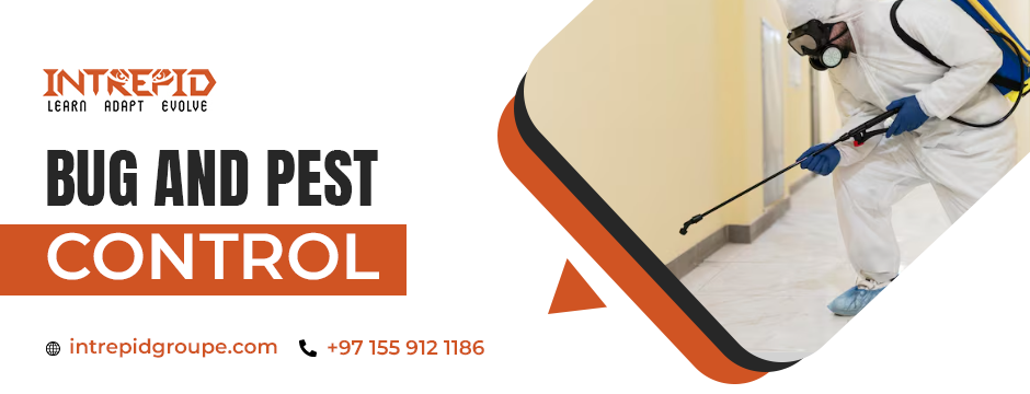 bug and pest control