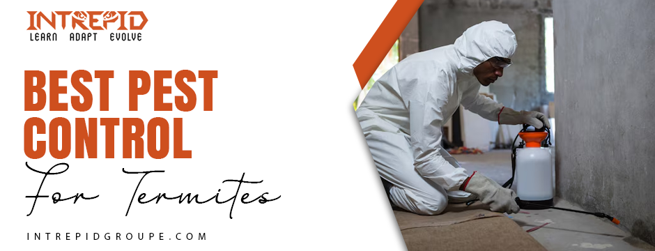 best pest control for termites