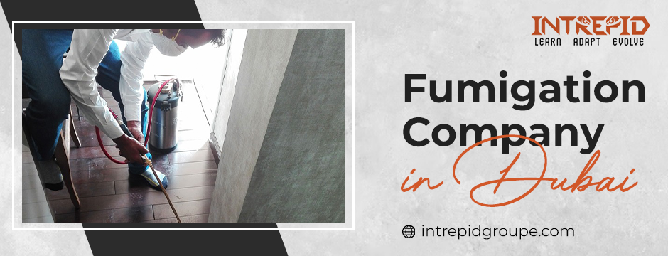 Struggling with Pests? Try a Fumigation Company in Dubai