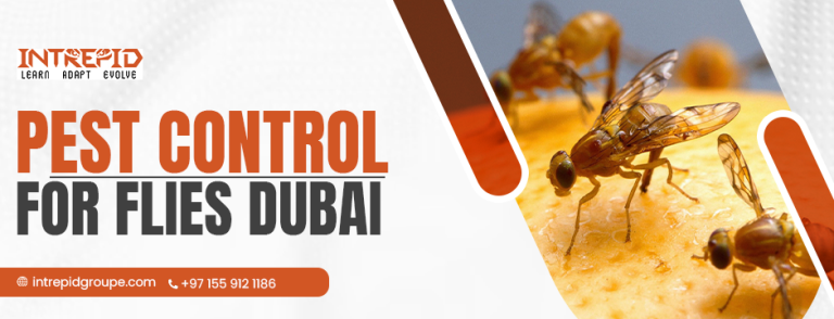 pest control for flies Dubai