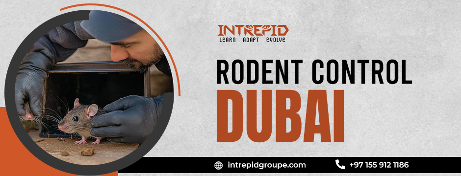 rodent control dubai